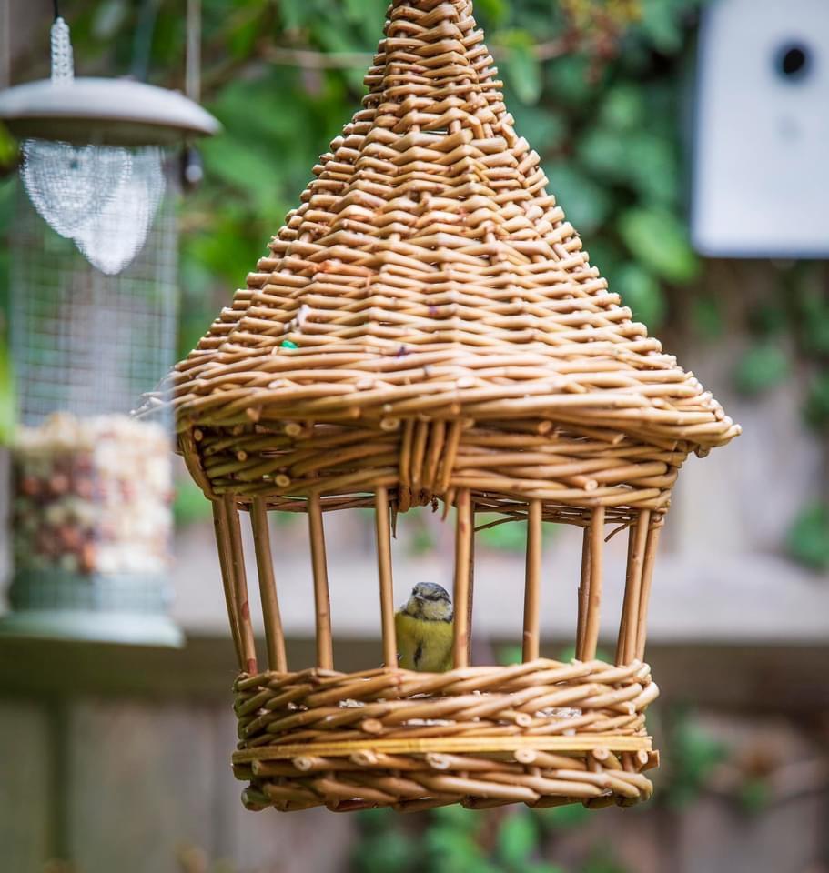 Original Bird Feeder