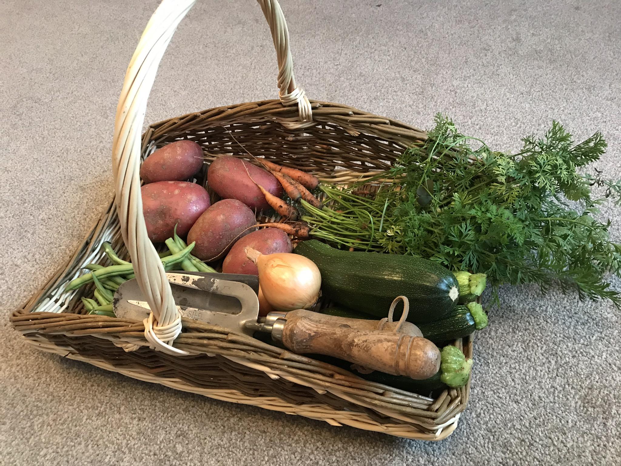 Countryworld Baskets
